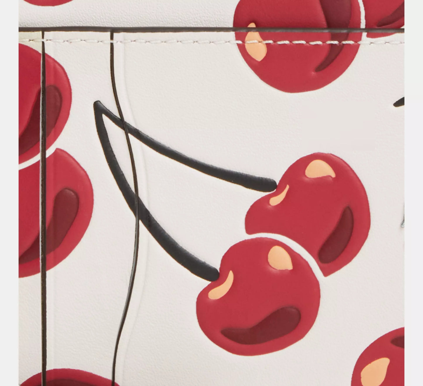 Zip Card Case With Cherry Print