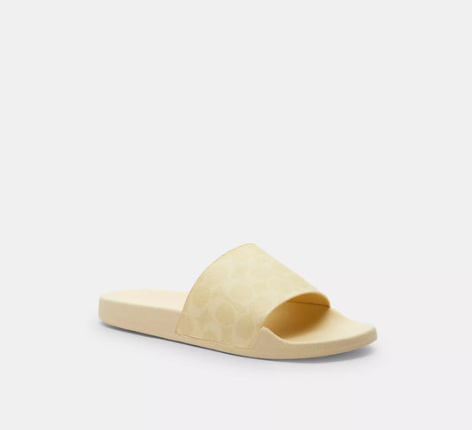 Udele Sport Slide In Signature Canvas *Pre Order*