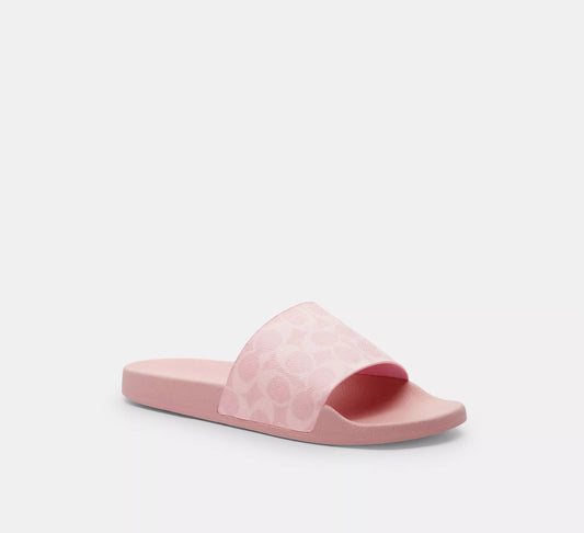 Udele Sport Slide In Signature Canvas *Pre Order*